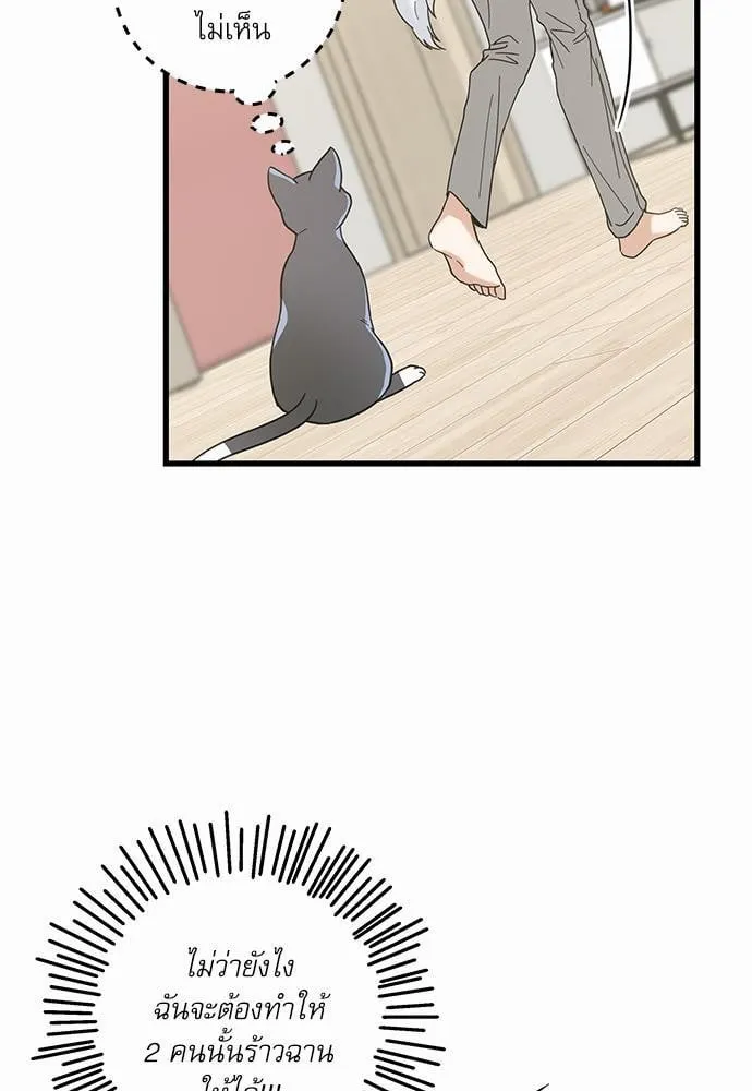 My One and Only Cat ตอนที่ 2623 My One and Only Cat ตอนที่ 2623