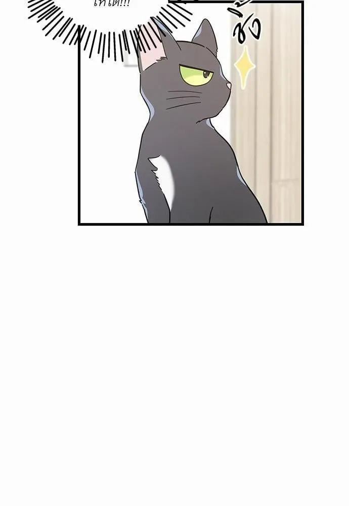 My One and Only Cat ตอนที่ 2624 My One and Only Cat ตอนที่ 2624