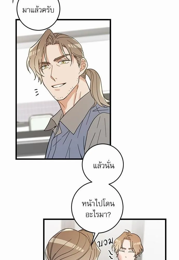 My One and Only Cat ตอนที่ 2626 My One and Only Cat ตอนที่ 2626