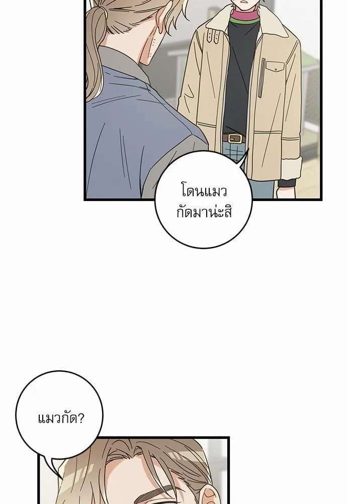 My One and Only Cat ตอนที่ 2627 My One and Only Cat ตอนที่ 2627