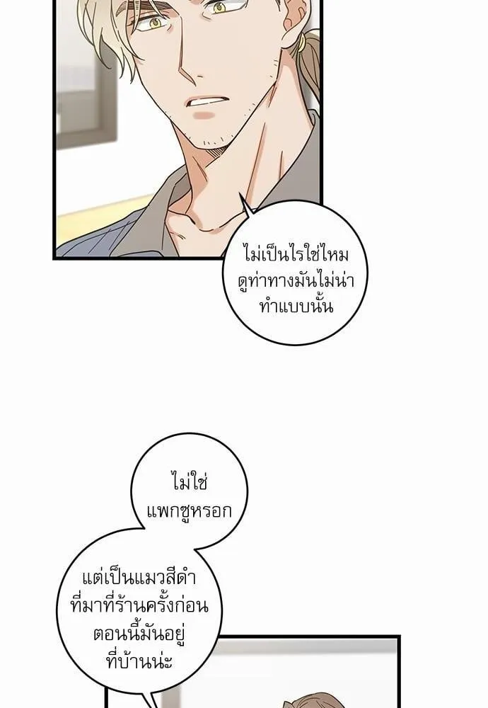 My One and Only Cat ตอนที่ 2628 My One and Only Cat ตอนที่ 2628