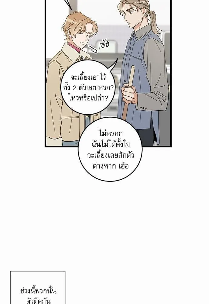 My One and Only Cat ตอนที่ 2629 My One and Only Cat ตอนที่ 2629