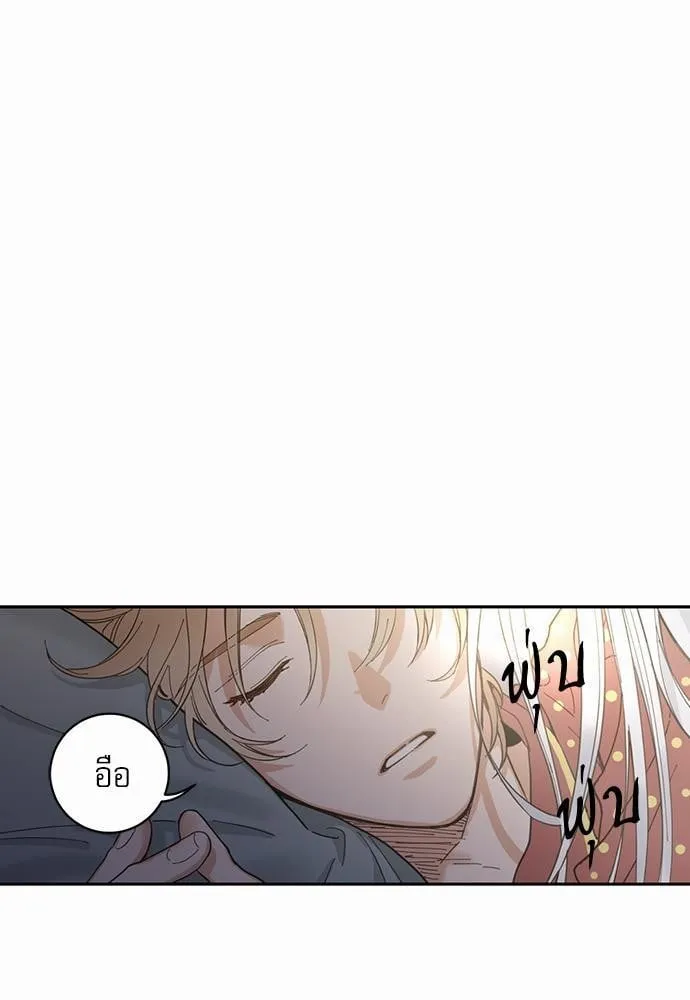 My One and Only Cat ตอนที่ 263 My One and Only Cat ตอนที่ 263