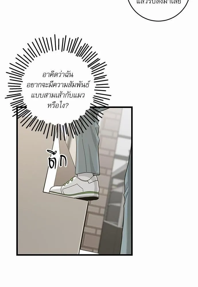 My One and Only Cat ตอนที่ 2636 My One and Only Cat ตอนที่ 2636