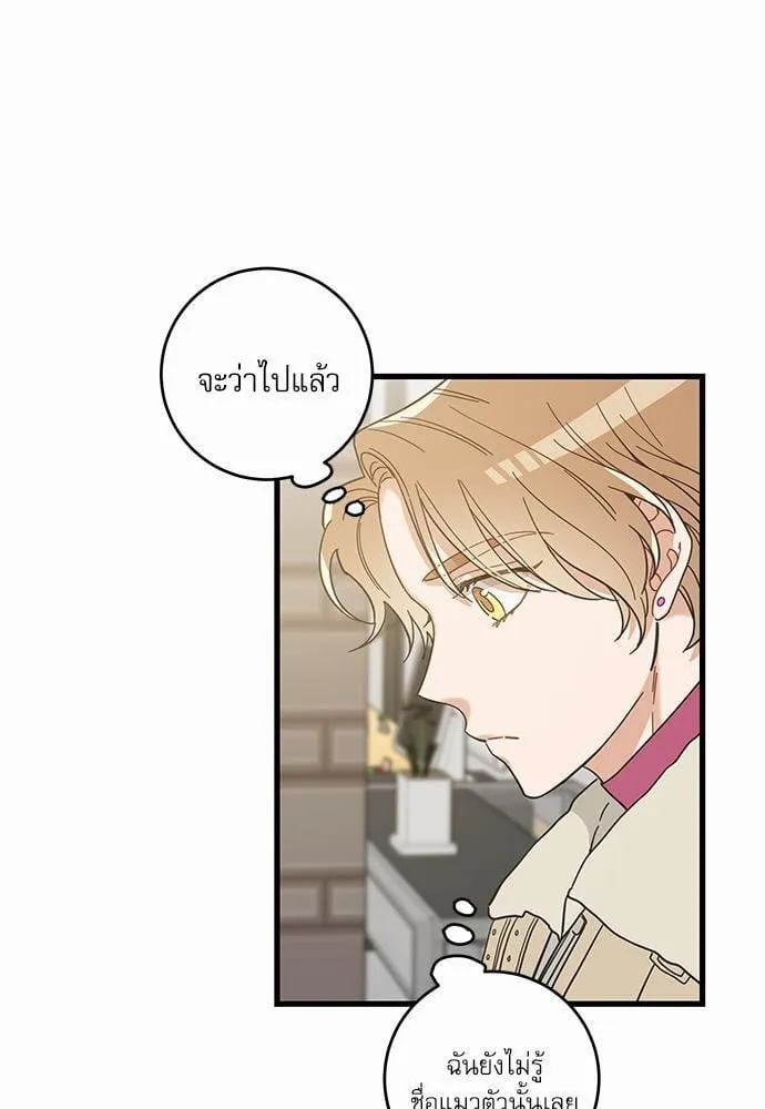 My One and Only Cat ตอนที่ 2637 My One and Only Cat ตอนที่ 2637