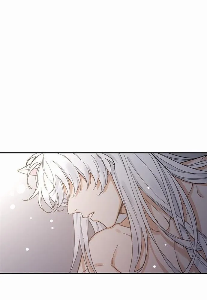 My One and Only Cat ตอนที่ 264 My One and Only Cat ตอนที่ 264