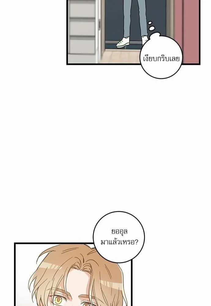 My One and Only Cat ตอนที่ 2642 My One and Only Cat ตอนที่ 2642