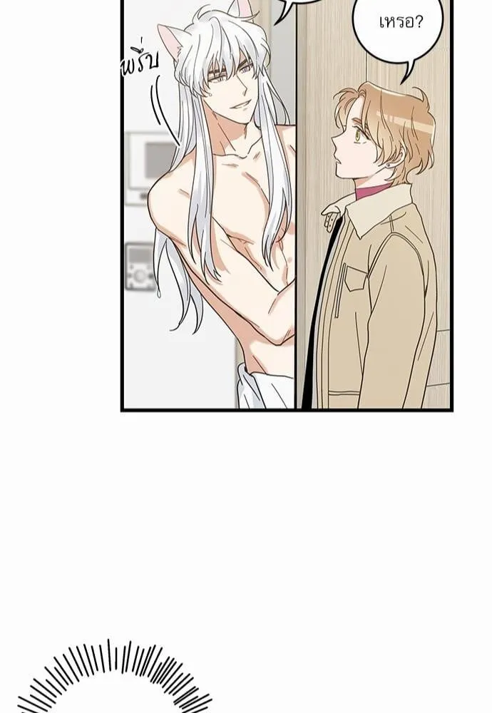 My One and Only Cat ตอนที่ 2644 My One and Only Cat ตอนที่ 2644