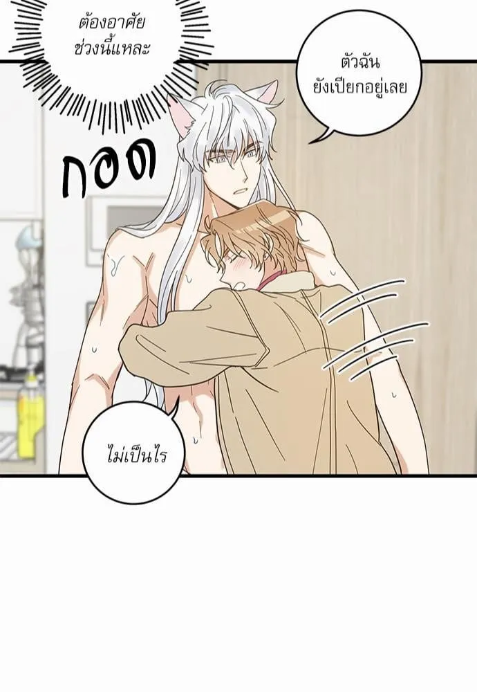 My One and Only Cat ตอนที่ 2645 My One and Only Cat ตอนที่ 2645