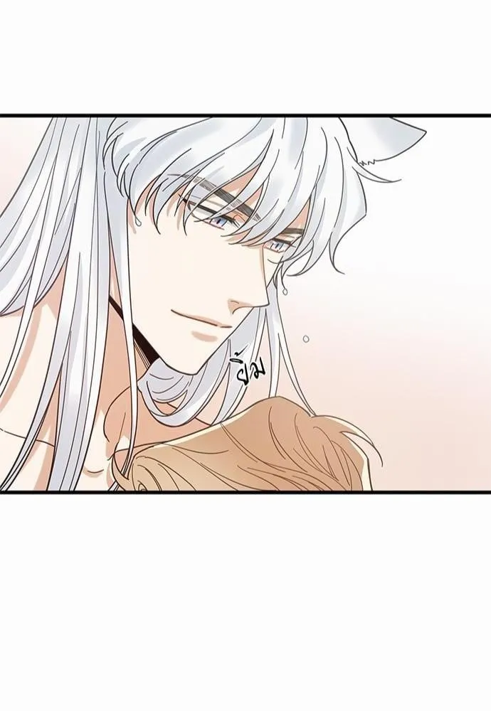 My One and Only Cat ตอนที่ 2646 My One and Only Cat ตอนที่ 2646