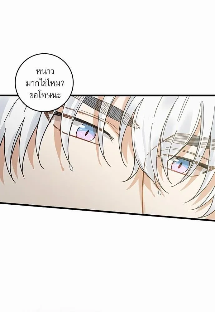 My One and Only Cat ตอนที่ 2648 My One and Only Cat ตอนที่ 2648