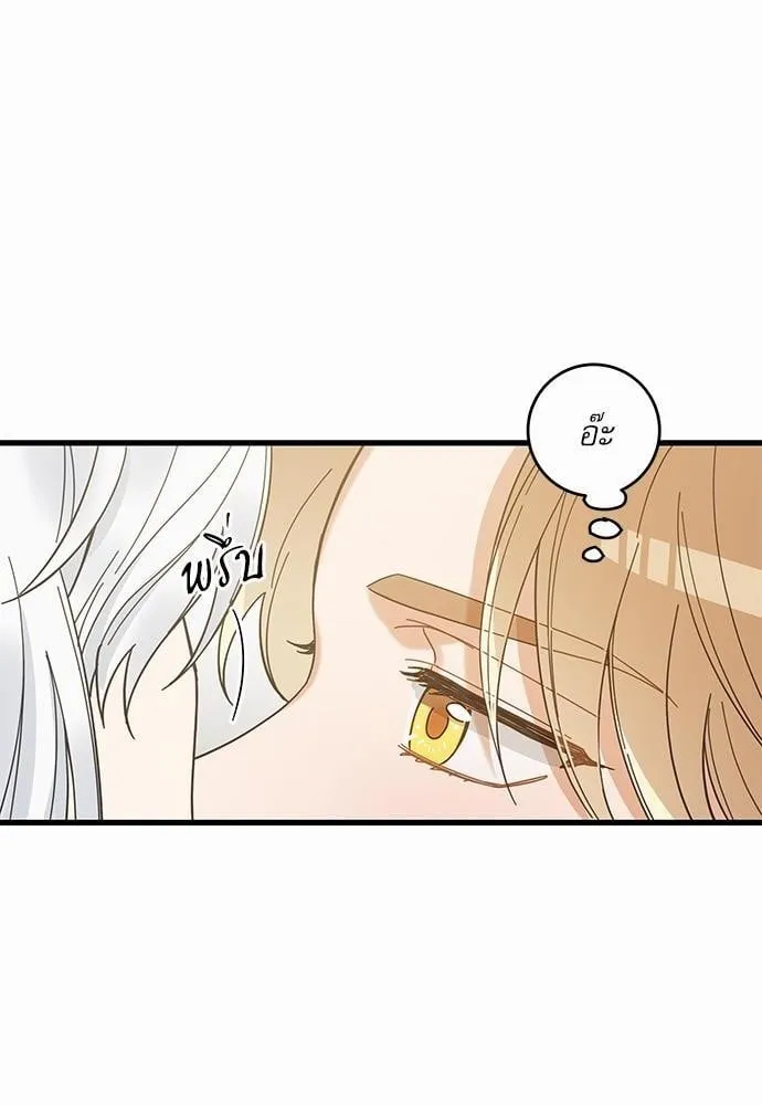 My One and Only Cat ตอนที่ 2650 My One and Only Cat ตอนที่ 2650