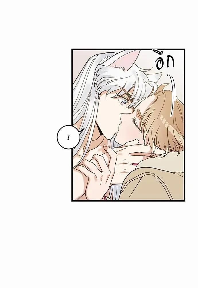 My One and Only Cat ตอนที่ 2652 My One and Only Cat ตอนที่ 2652