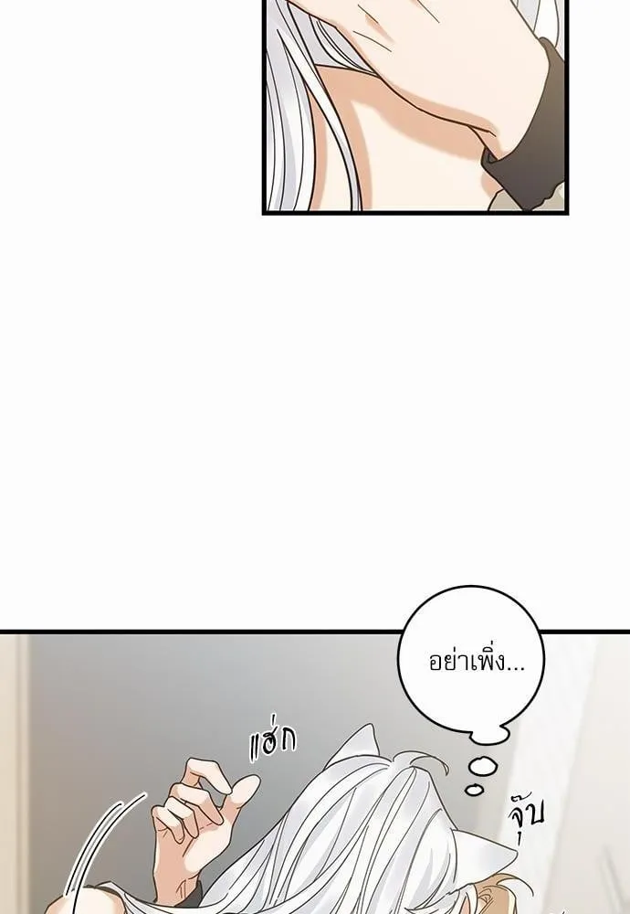 My One and Only Cat ตอนที่ 2654 My One and Only Cat ตอนที่ 2654