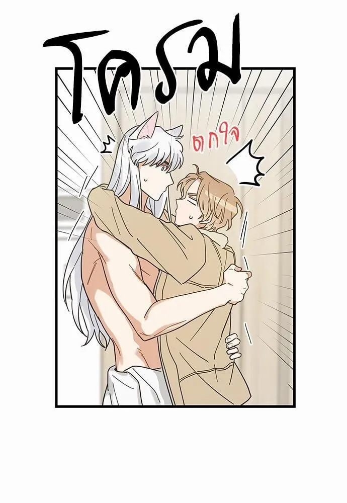 My One and Only Cat ตอนที่ 2656 My One and Only Cat ตอนที่ 2656