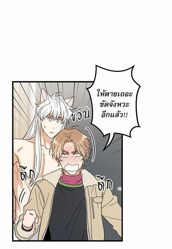 My One and Only Cat ตอนที่ 2657 My One and Only Cat ตอนที่ 2657