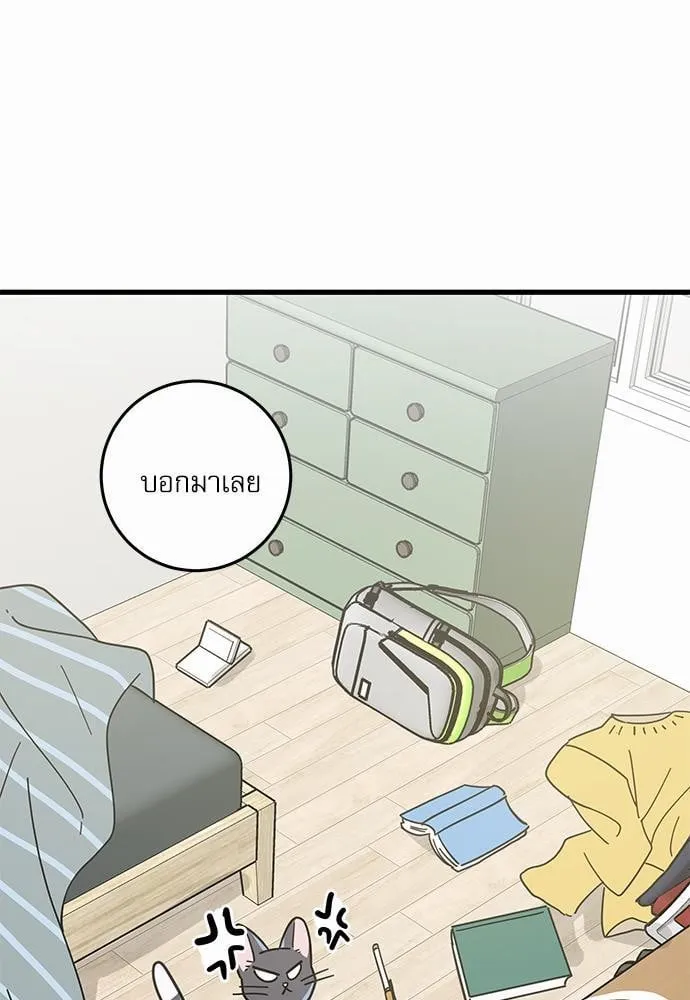 My One and Only Cat ตอนที่ 2659 My One and Only Cat ตอนที่ 2659