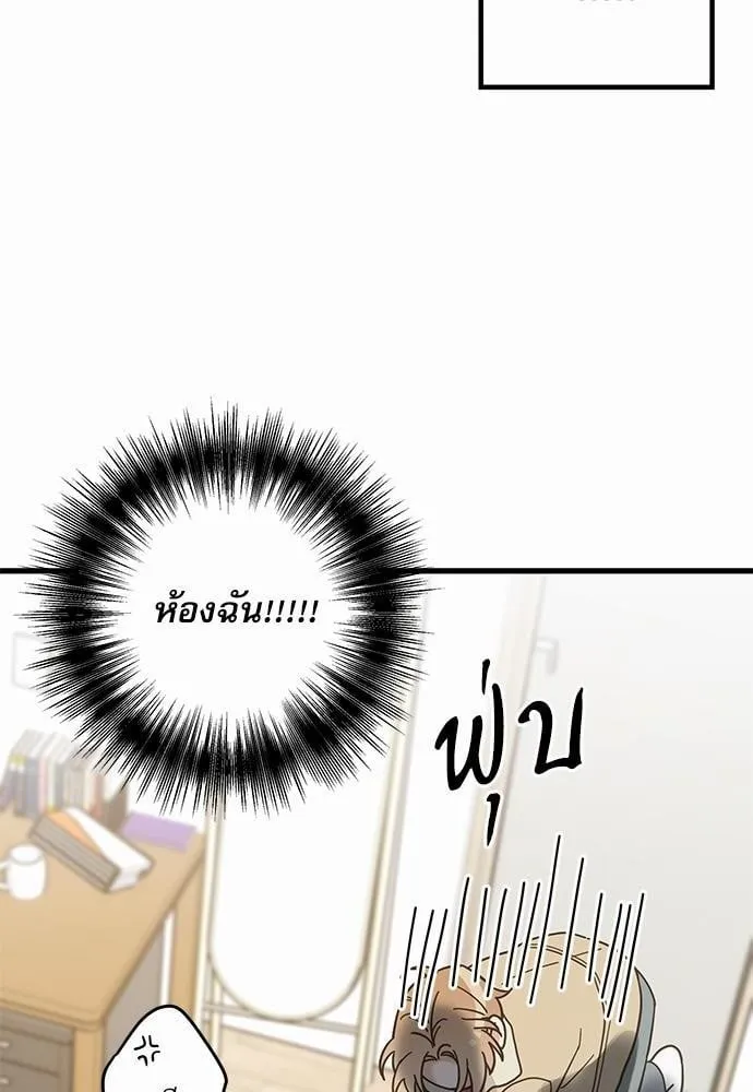 My One and Only Cat ตอนที่ 2662 My One and Only Cat ตอนที่ 2662