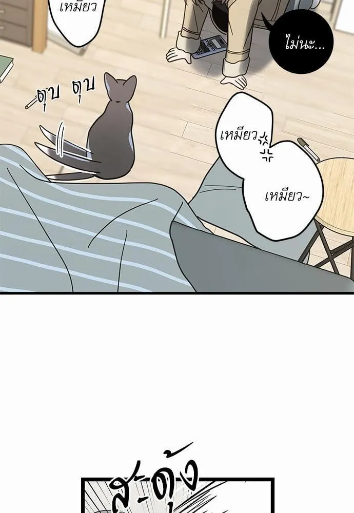 My One and Only Cat ตอนที่ 2663 My One and Only Cat ตอนที่ 2663