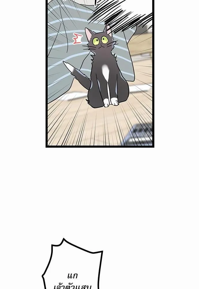 My One and Only Cat ตอนที่ 2664 My One and Only Cat ตอนที่ 2664