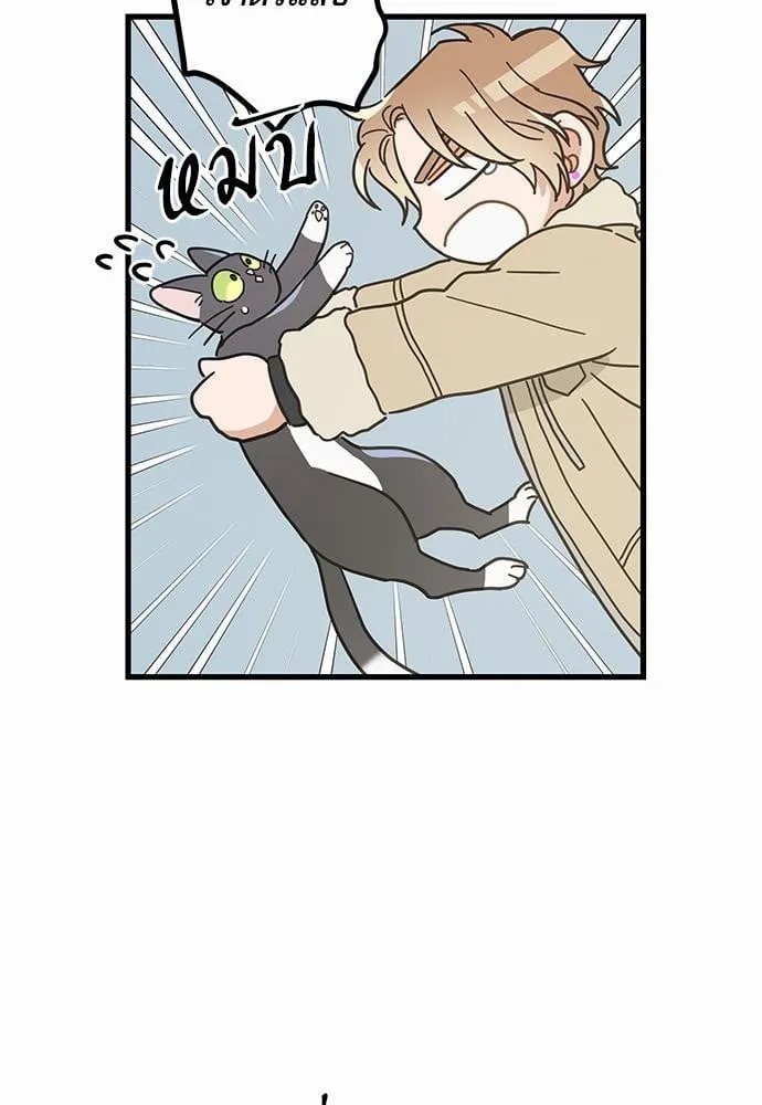 My One and Only Cat ตอนที่ 2665 My One and Only Cat ตอนที่ 2665