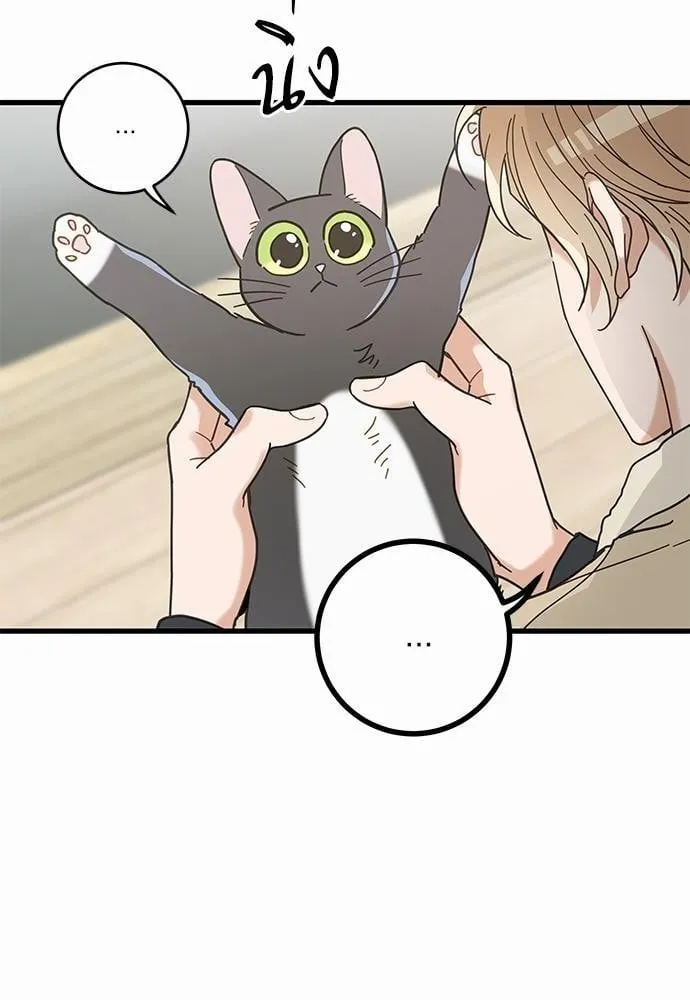 My One and Only Cat ตอนที่ 2666 My One and Only Cat ตอนที่ 2666