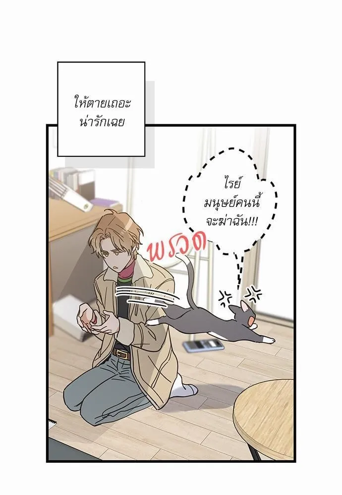 My One and Only Cat ตอนที่ 2667 My One and Only Cat ตอนที่ 2667