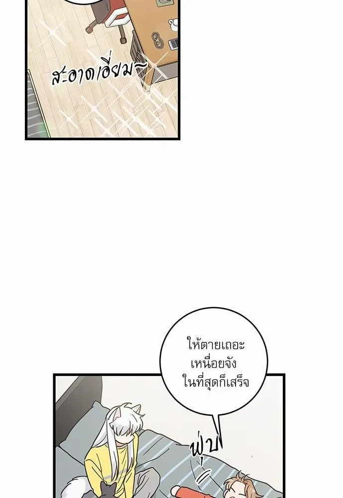 My One and Only Cat ตอนที่ 2702