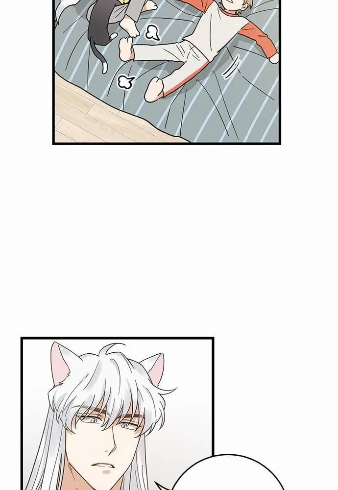 My One and Only Cat ตอนที่ 2703