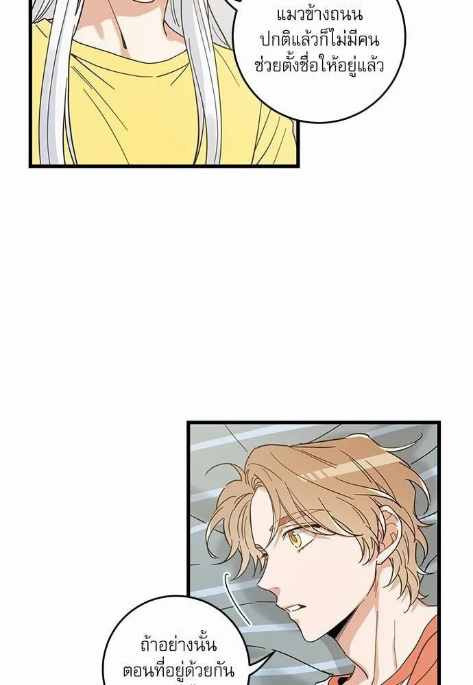 My One and Only Cat ตอนที่ 2704