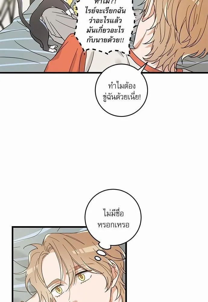 My One and Only Cat ตอนที่ 2706