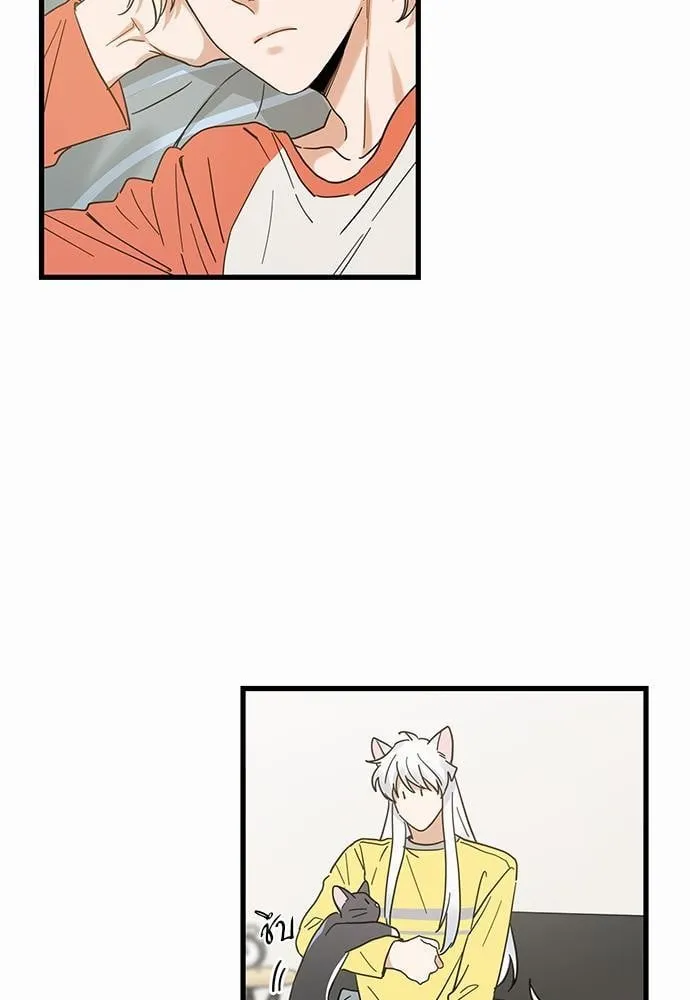 My One and Only Cat ตอนที่ 2707