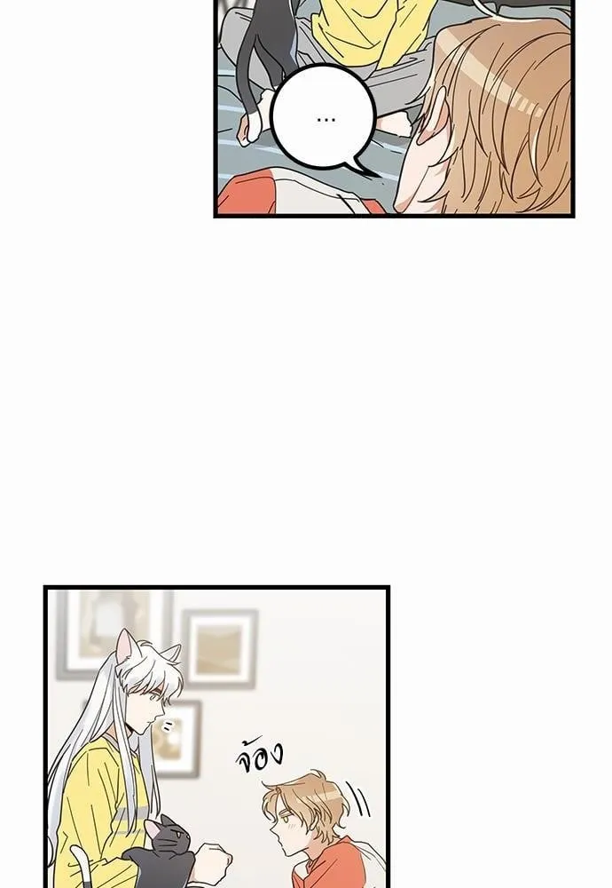 My One and Only Cat ตอนที่ 2708