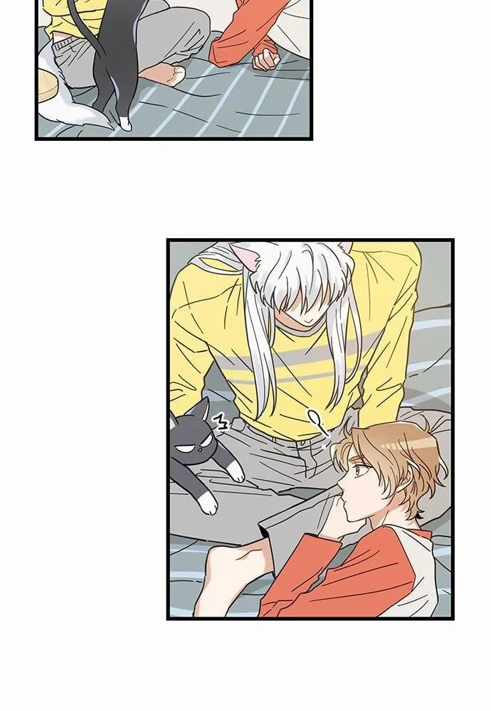 My One and Only Cat ตอนที่ 2709