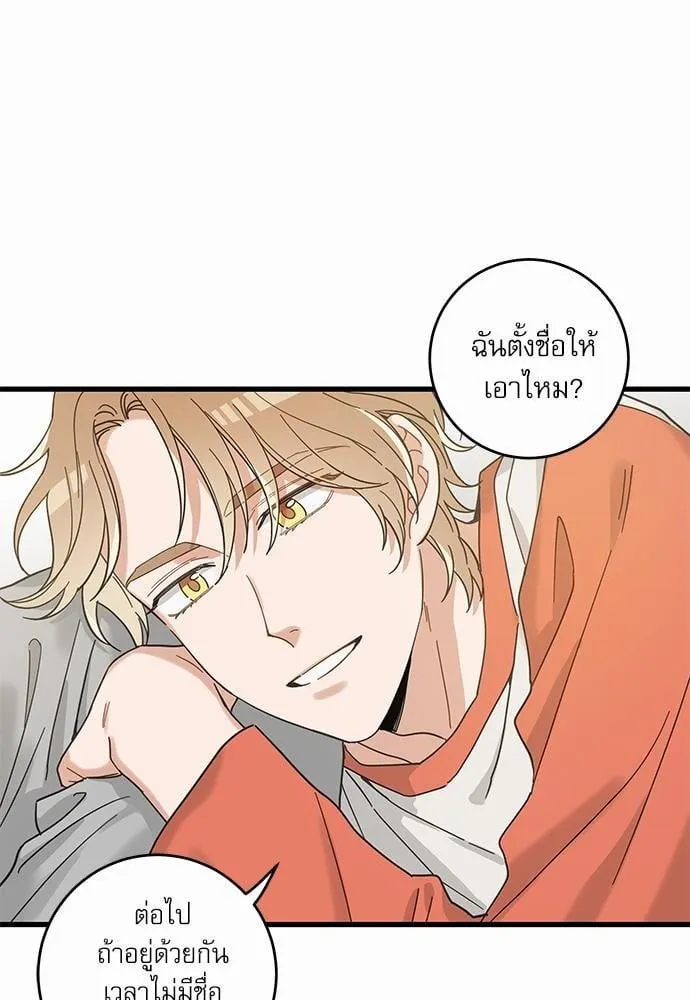 My One and Only Cat ตอนที่ 2710