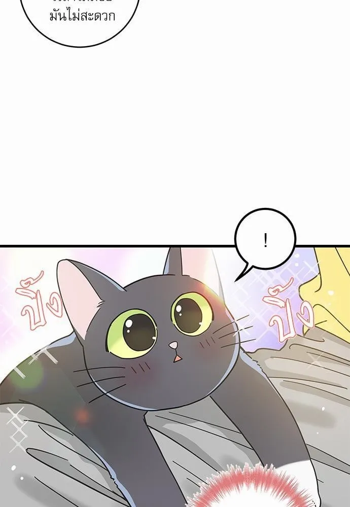 My One and Only Cat ตอนที่ 2711