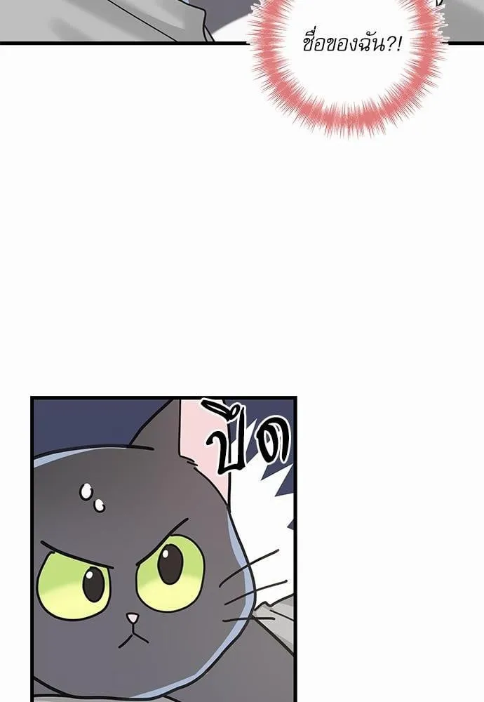 My One and Only Cat ตอนที่ 2712