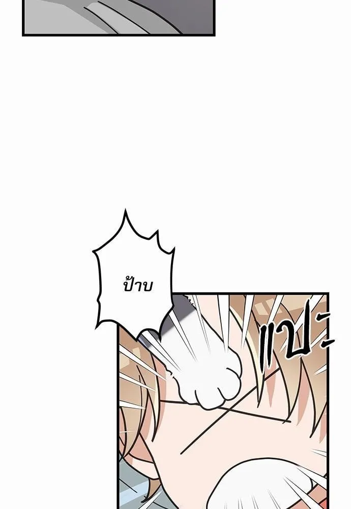 My One and Only Cat ตอนที่ 2713