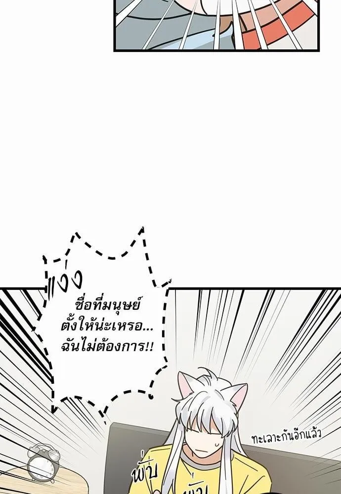 My One and Only Cat ตอนที่ 2714