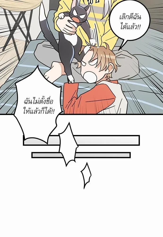 My One and Only Cat ตอนที่ 2715