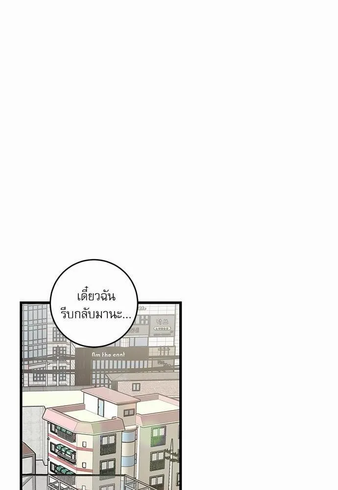 My One and Only Cat ตอนที่ 2718