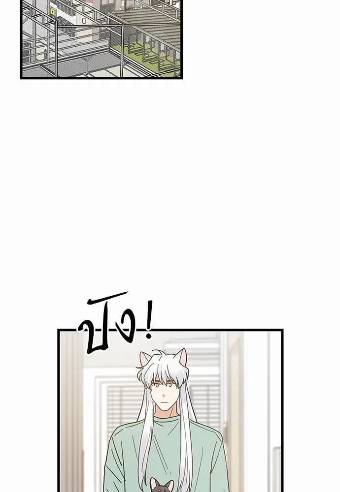 My One and Only Cat ตอนที่ 2719