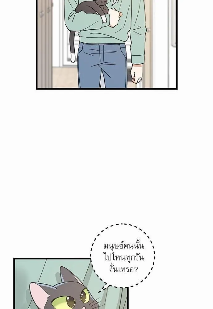 My One and Only Cat ตอนที่ 2720
