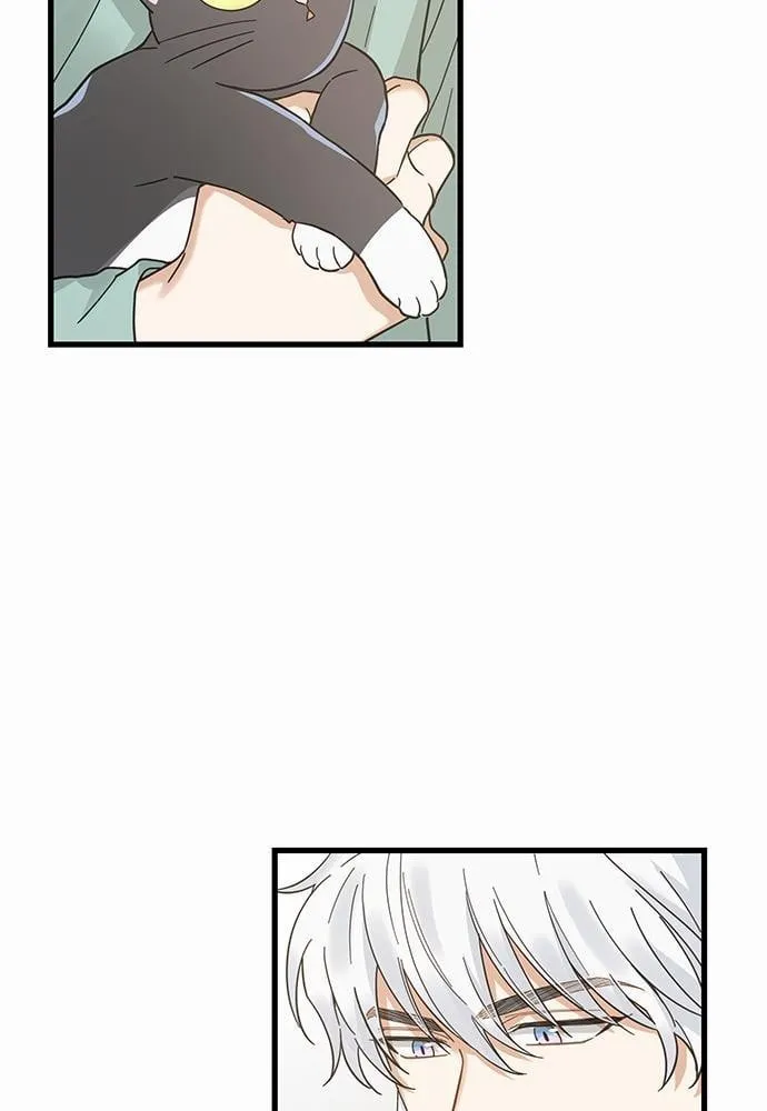 My One and Only Cat ตอนที่ 2721