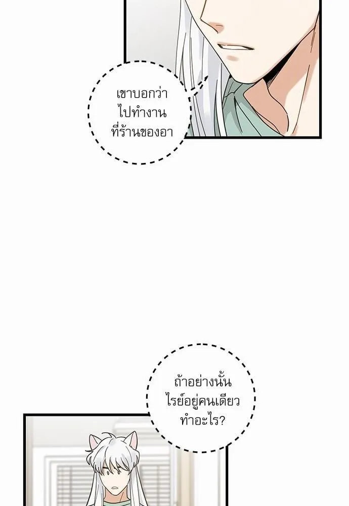 My One and Only Cat ตอนที่ 2722