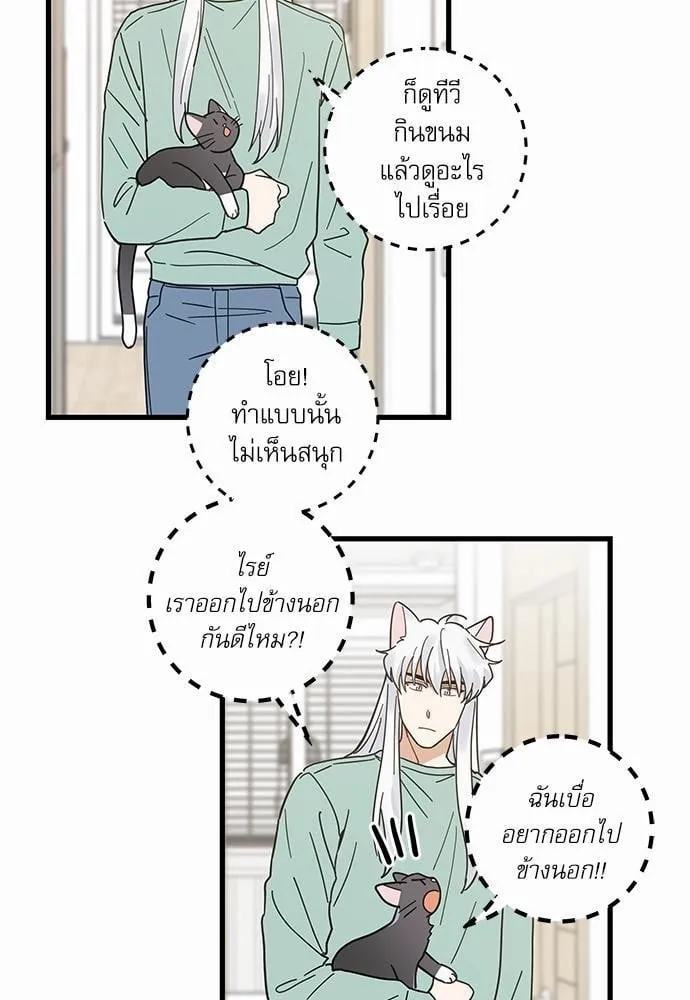 My One and Only Cat ตอนที่ 2723
