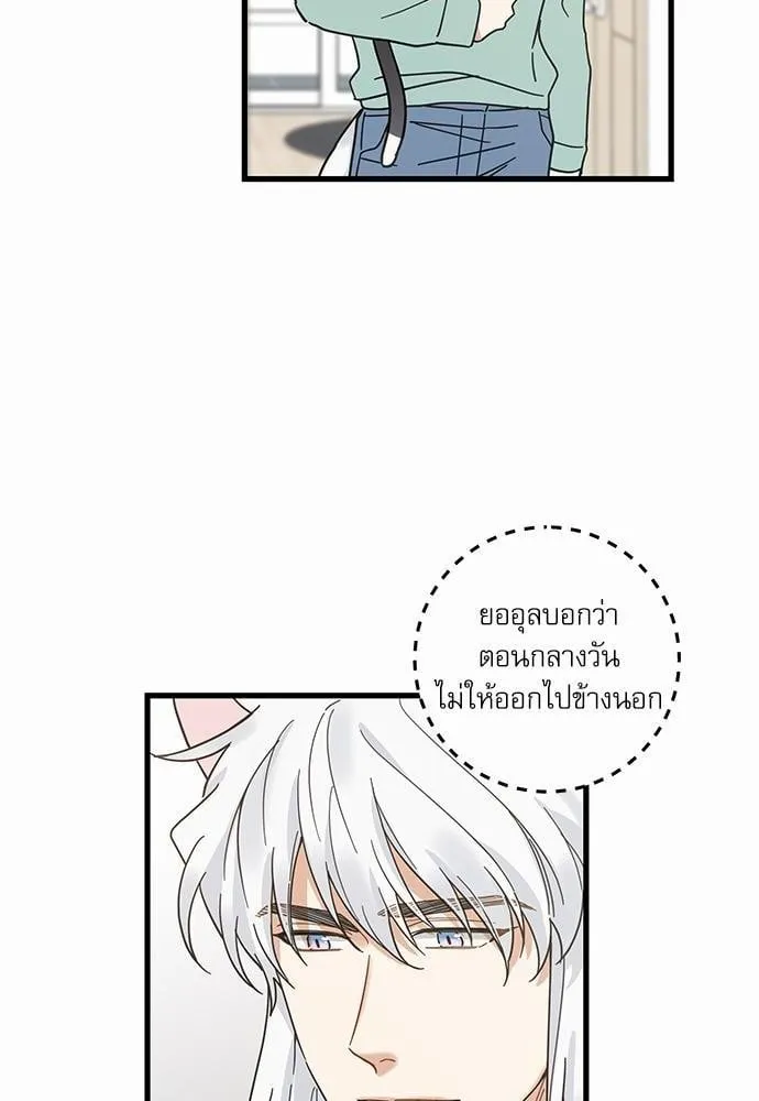 My One and Only Cat ตอนที่ 2724