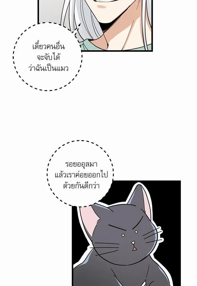 My One and Only Cat ตอนที่ 2725
