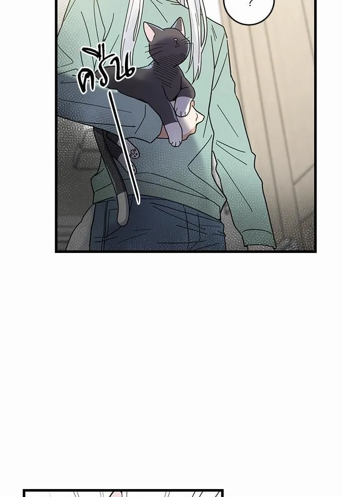 My One and Only Cat ตอนที่ 2727