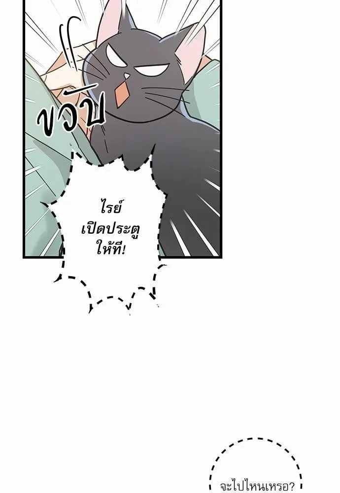 My One and Only Cat ตอนที่ 2728